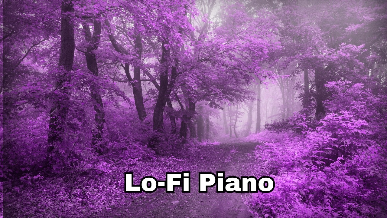 1 Hour LoFi Study Music 📚 Deep Focus for Studying, Reading & Concentration