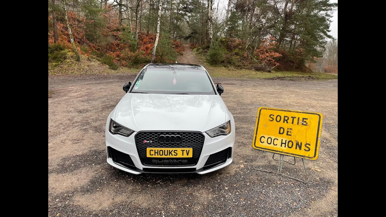 ESSAI AUDI RS3 : digne d'une sortie de cochons!! 🐷 🐷