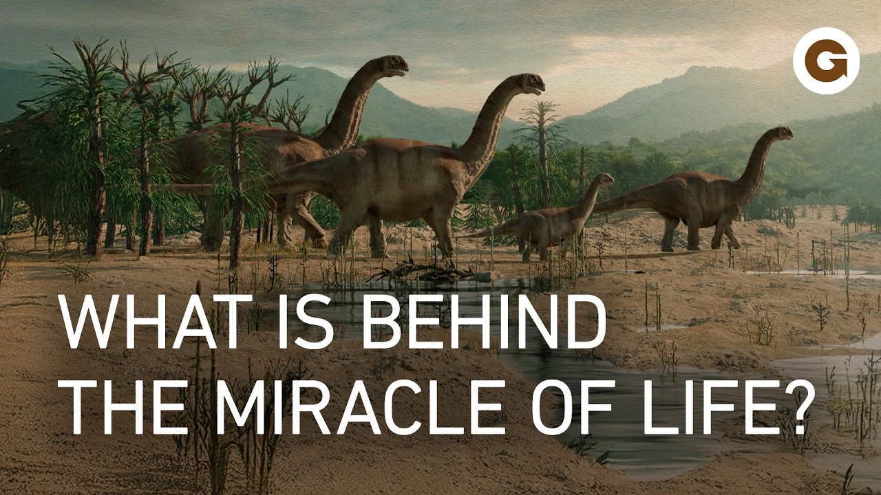 Great Moments in Evolution: From Single Cells to Complex Life | Full Documentary