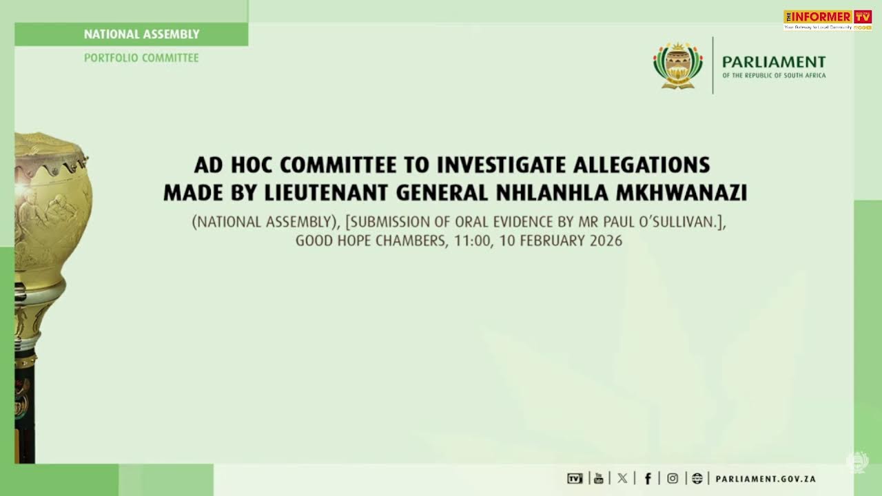 Ad Hoc Committee to investigate allegations made by Lieutenant General Nhlanhla Mkhwanazi