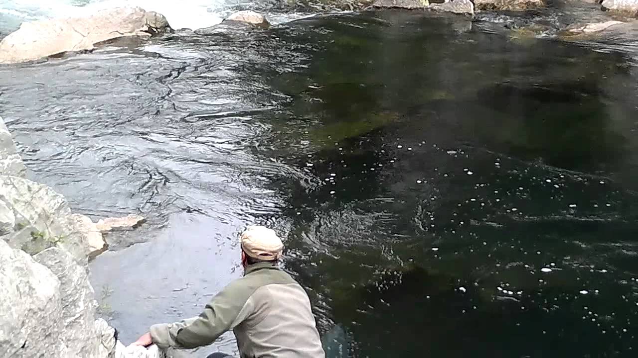 pesca de salmon en el rio pas