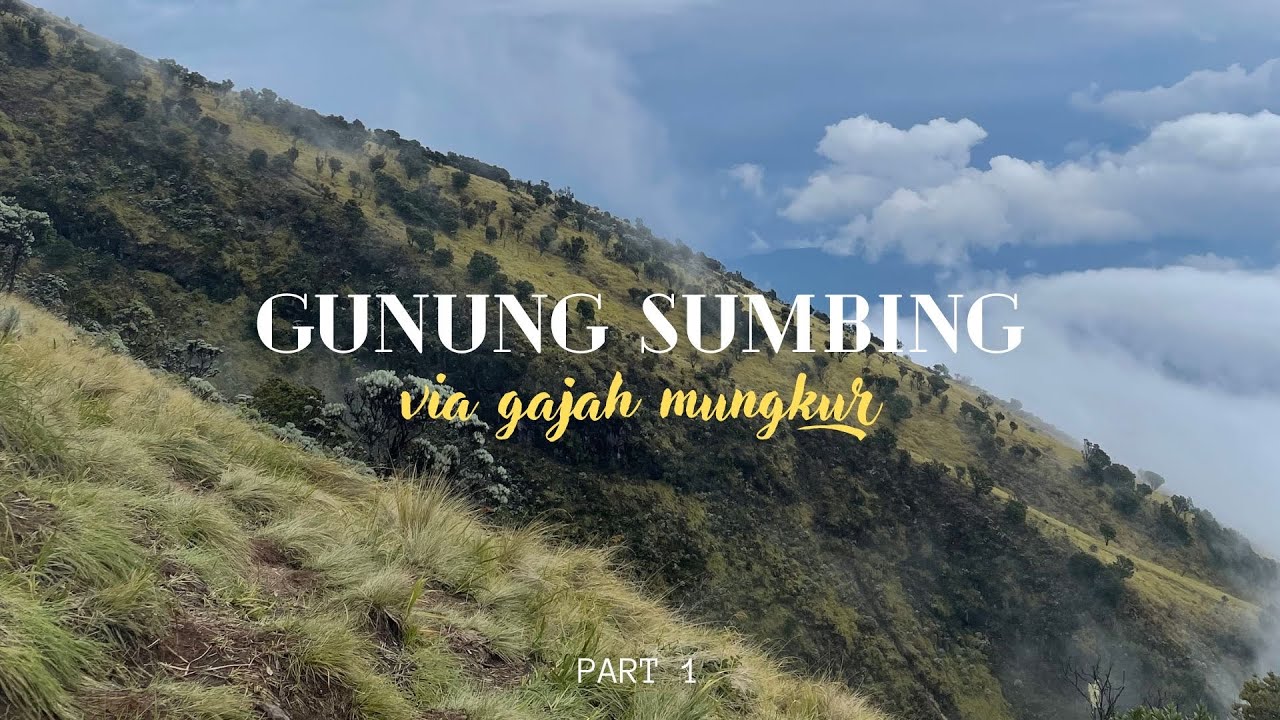 PENDAKIAN GUNUNG SUMBING #1 - Nyobain Ojek Gajah Mungkur