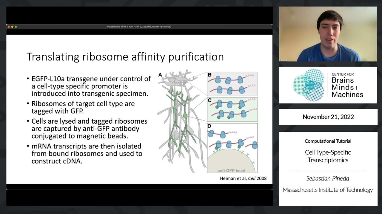 Cell Type-Specific Transcriptomics