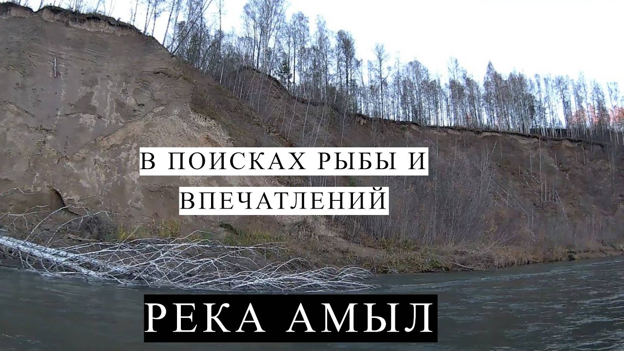 Река АМЫЛ | В поисках рыбы и впечатлений.#нахлыст