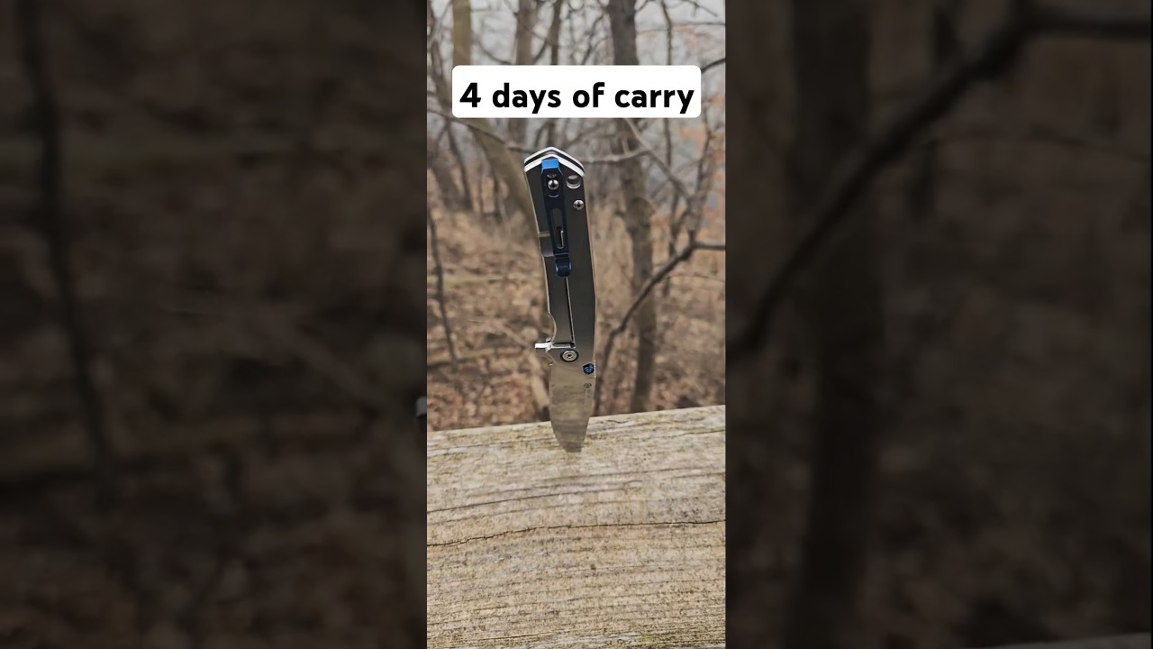 $37 RUIKE P801-SF for EDC #edc #everydaycarry #knife #budgetgear #ruike