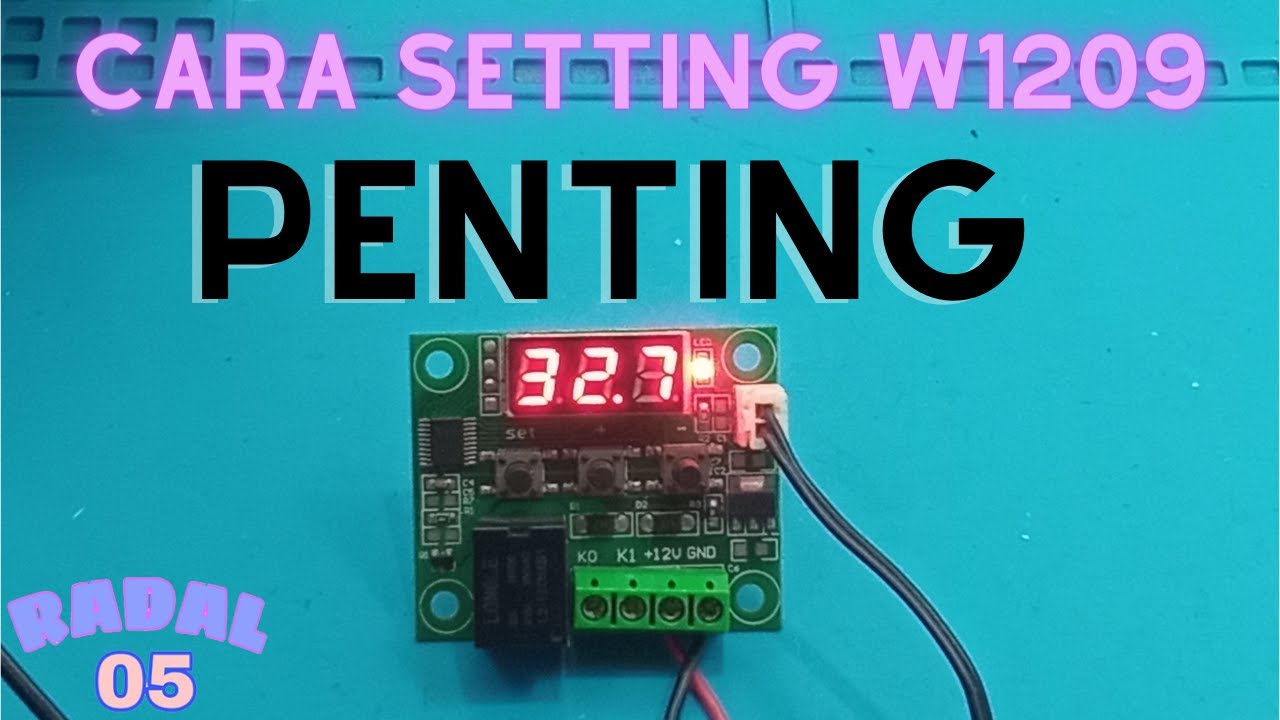 Термостат Cara W1209