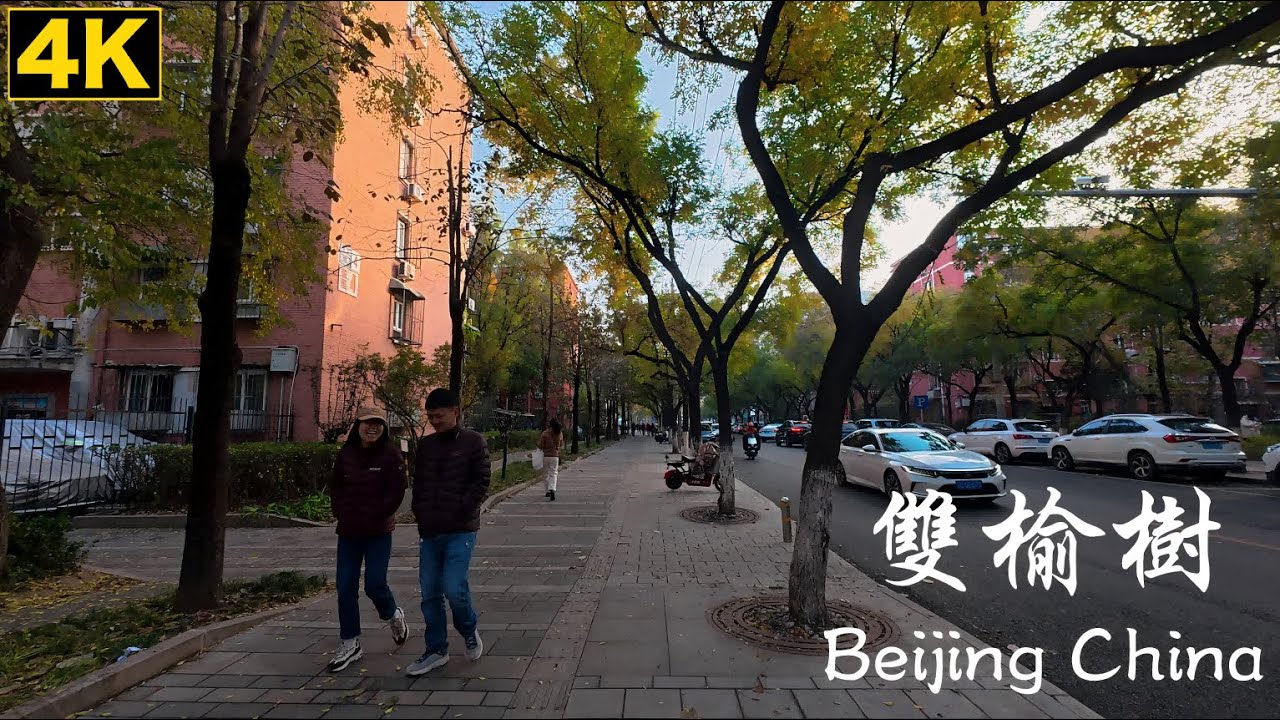 [4K] China Beijing Walking tour｜北京城市漫遊｜雙榆樹｜Shuang Yu Shu｜沉浸式環境音 ASMR