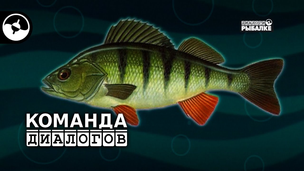 Трехречье. Зима. Окунь | Классика