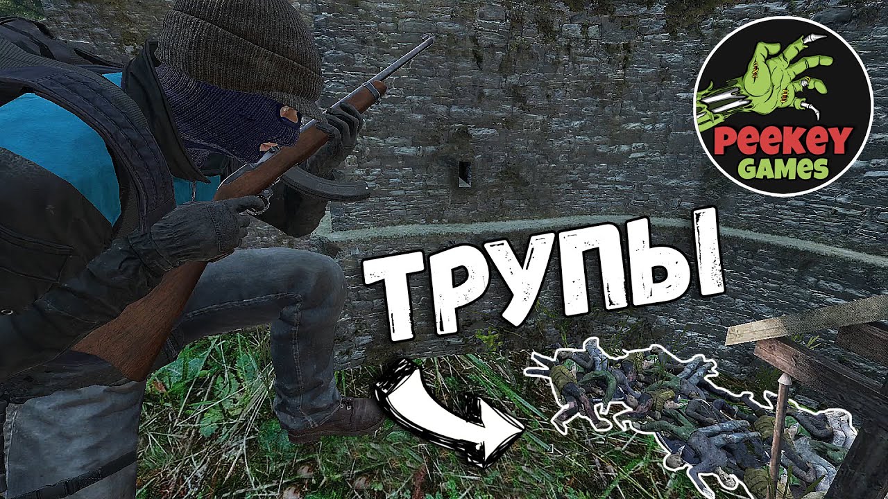 DayZ 
