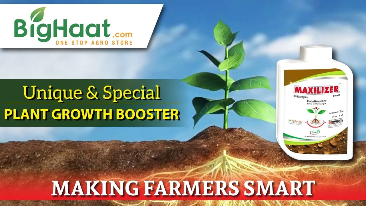 Innovative Plant Growth Promoter | BigHaat