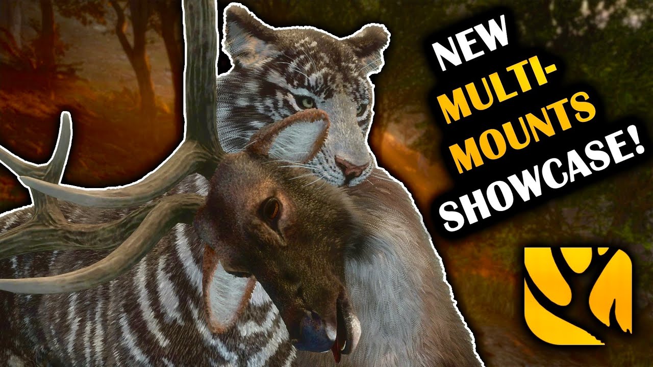TAKING A LOOK AT ALL THE BRAND NEW SUNDARPATAN MULTI-MOUNTS! TIGERS, TAHR AND SNOW LEOPARDS!