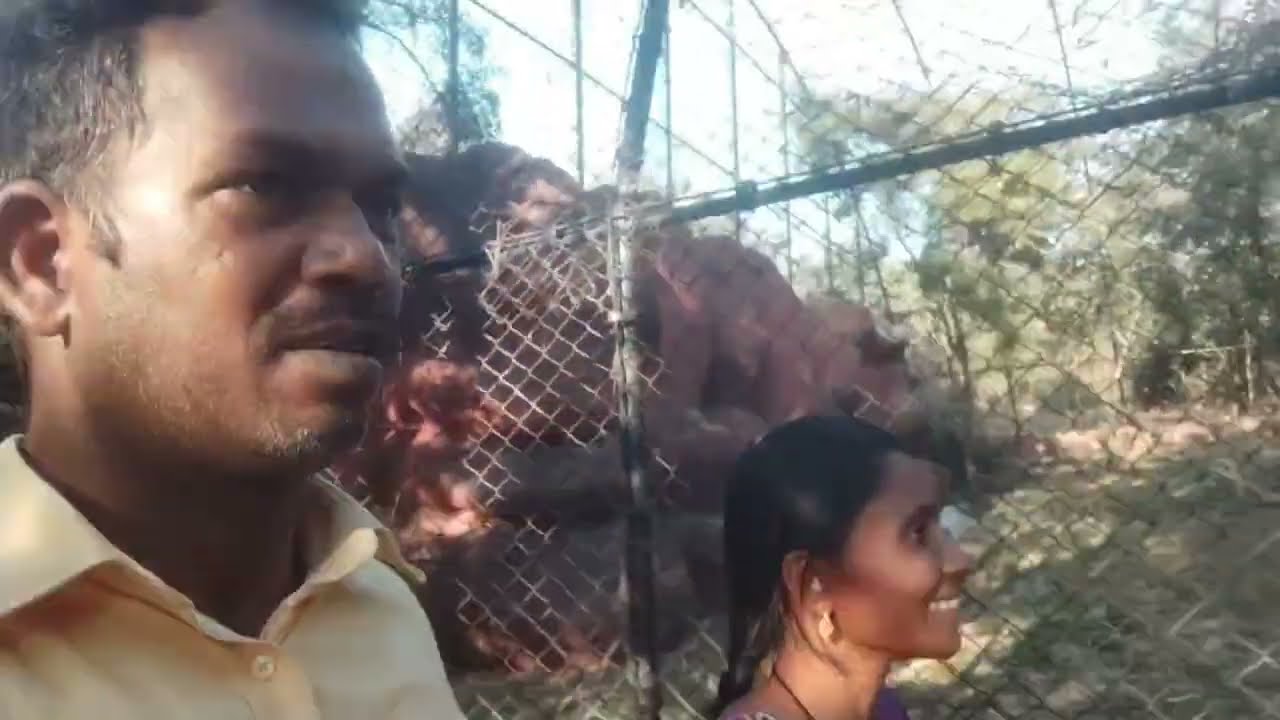 తిరపతి జూపార్క్ పార్ట్ 2 