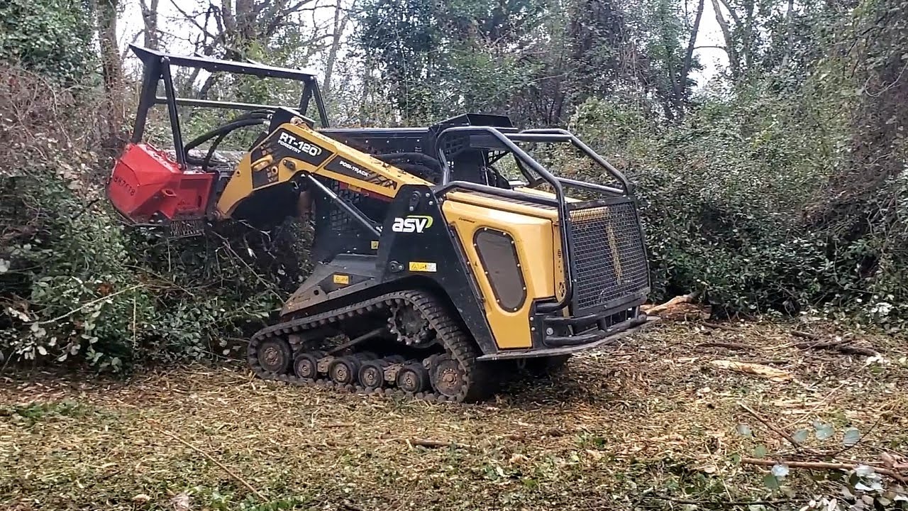 Turtle Habitat Cleanup | Forestry Mulching