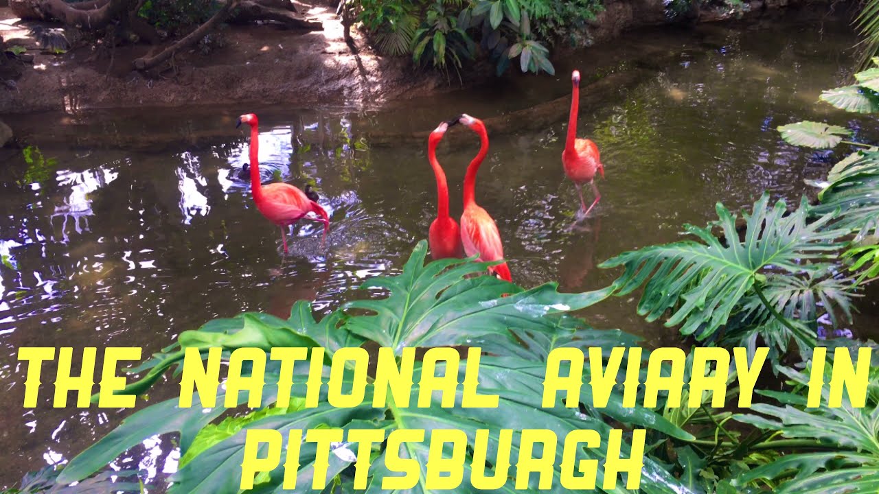 THE NATIONAL AVIARY PITTSBURGH USA