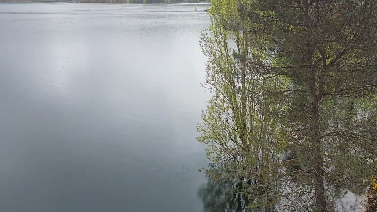 Embalse de Entrepe&ntilde;as, Guadalajara