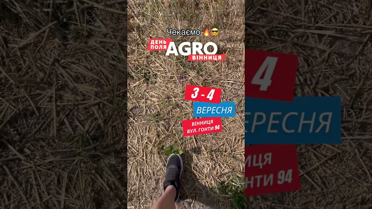 #деньполя