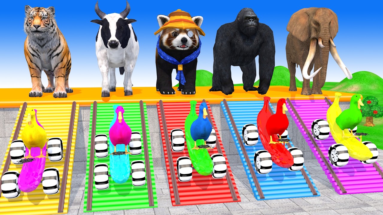 Long Slide Game With Cow Elephant Gorilla Hippopotamus Tiger 3d Animal Game Funny 3d Animals