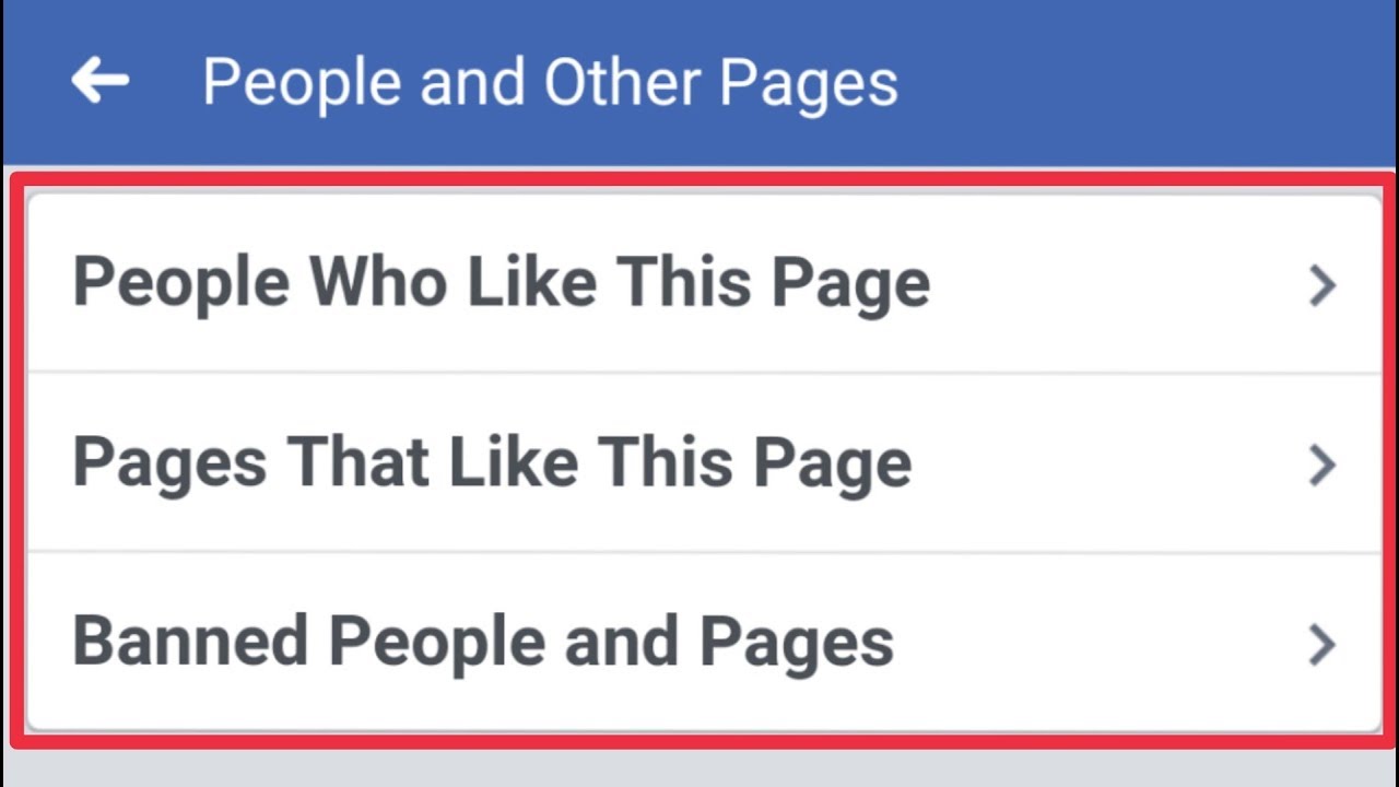 Facebook Pages | How To Manage People And Other Option | People Who Like this Page