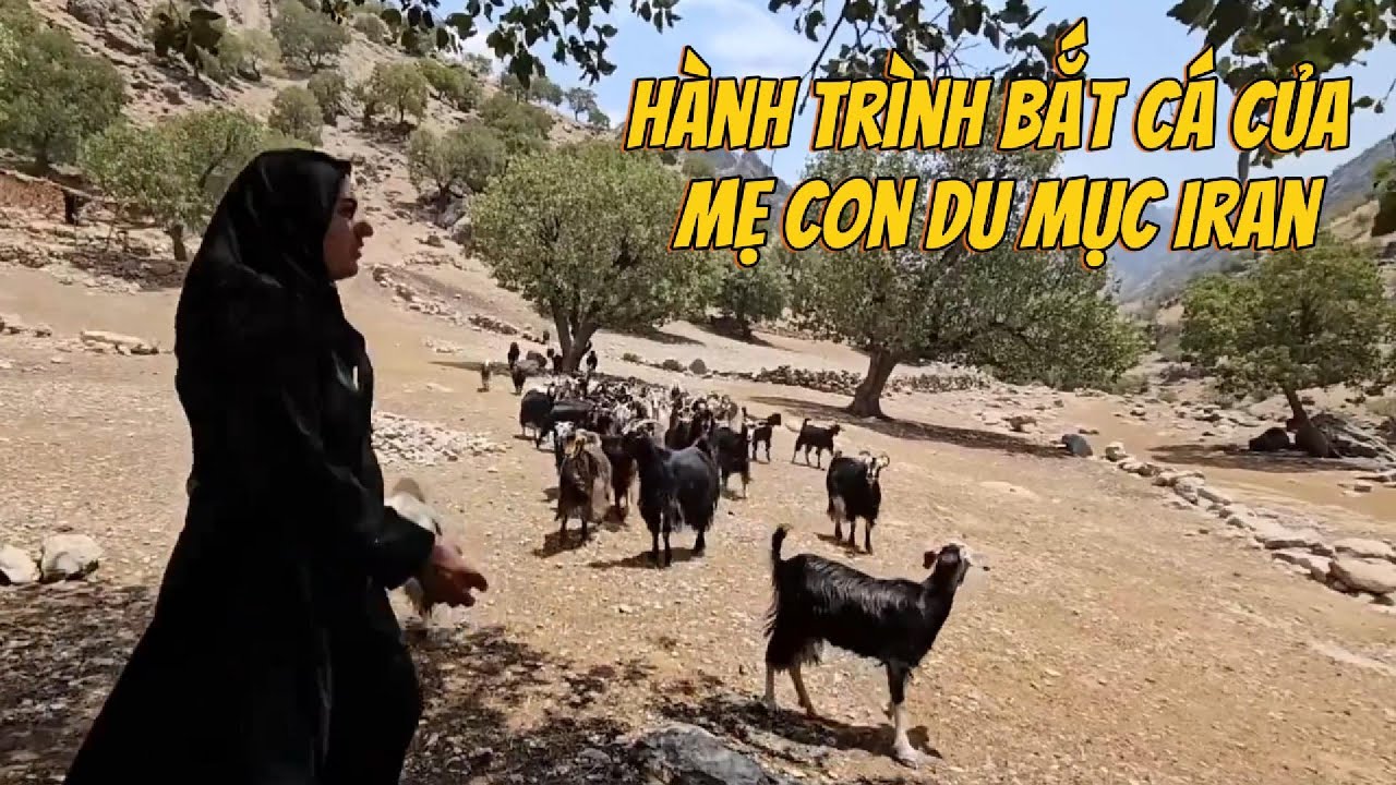H&agrave;nh Tr&igrave;nh Bắt C&aacute; Của Mẹ Con Du Mục Iran & Bữa Tối Ấm &Aacute;p | Đời Sống Của Người D&acirc;n Ở V&ugrave;ng N&uacute;i Zagros