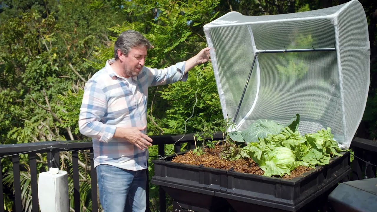 Садоводческие гуру &mdash; садоводство с Vegepod