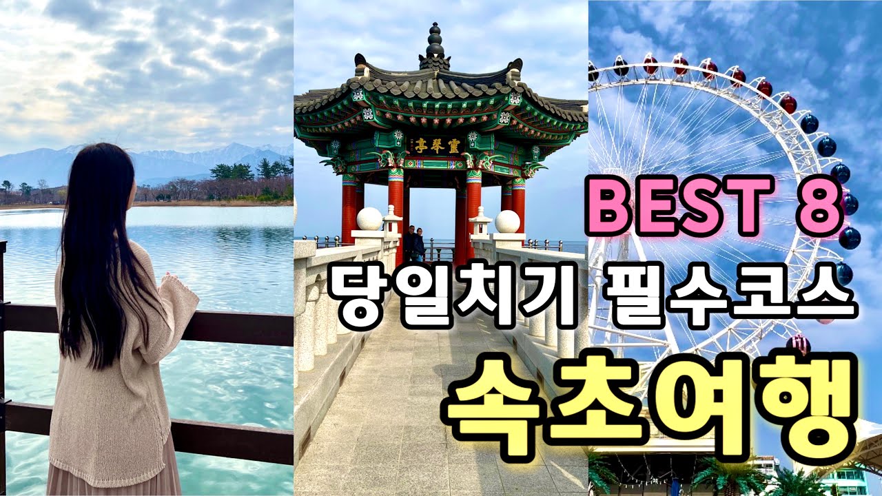🌼속초 당일치기 여행 코스 BEST 8🌼 | 동선 낭비없이 즐기기 | 속초여행 혼자 떠나기 | 나홀로 강원도 힐링여행