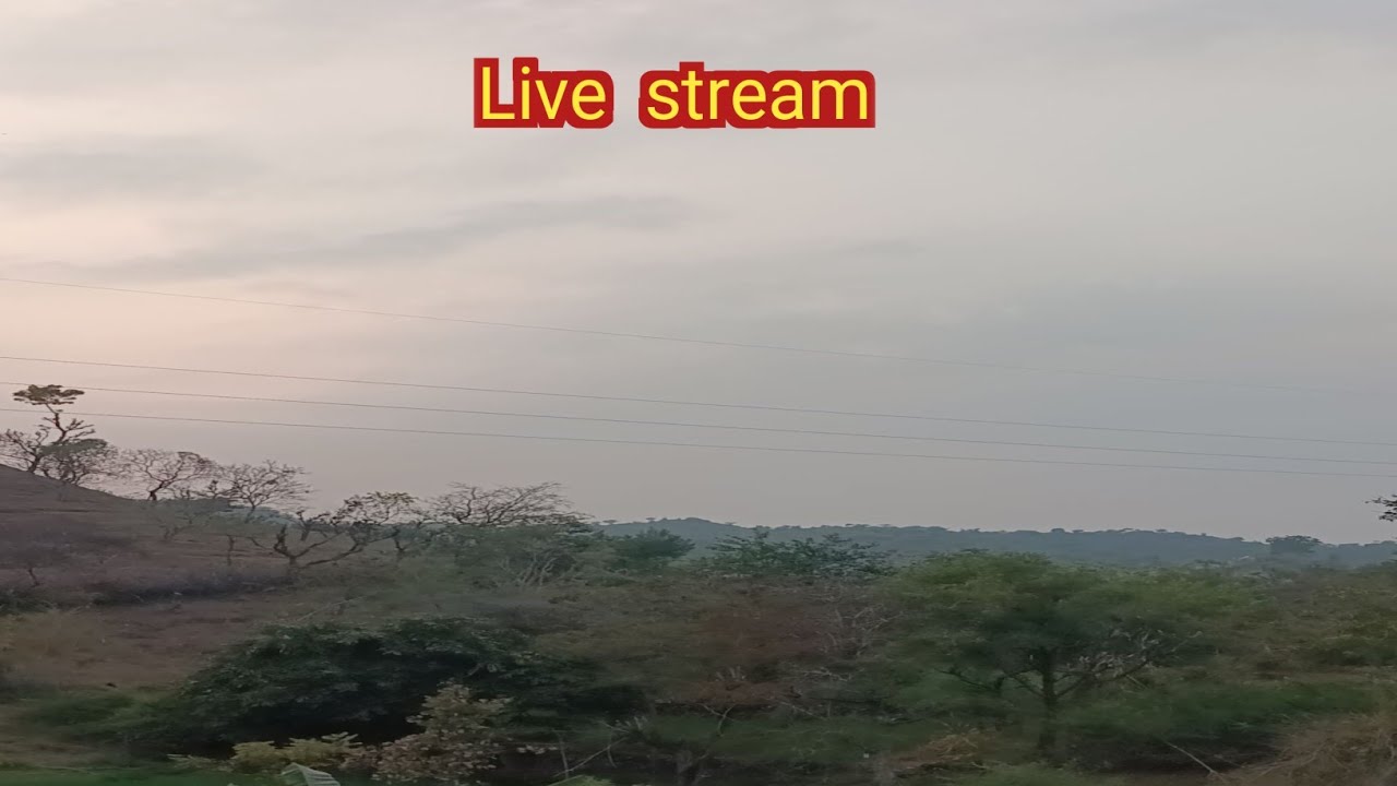 Live stream