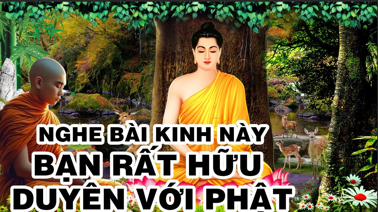 Nghe Được Kinh N&agrave;y Bạn Rất Hữu Duy&ecirc;n Với Phật Th&iacute;ch Ca | Thiện T&acirc;m TV