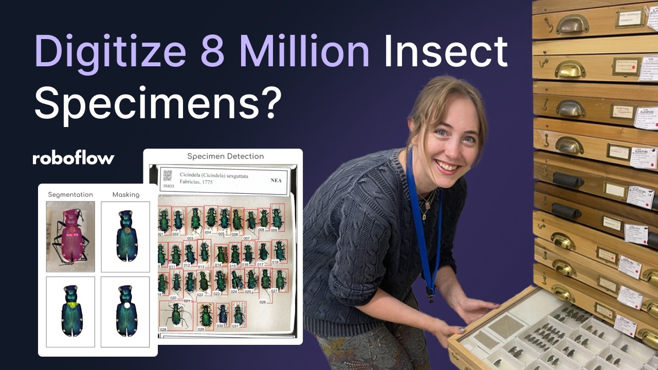 How The Field Museum Unlocks New Research Possibilities with Vision AI