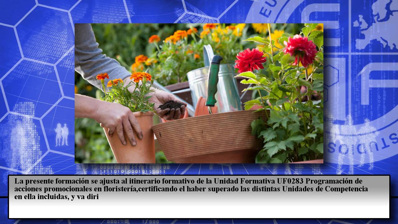 Uf0283 Programacion De Acciones Promocionales En Floristeria Online - Cursos Online
