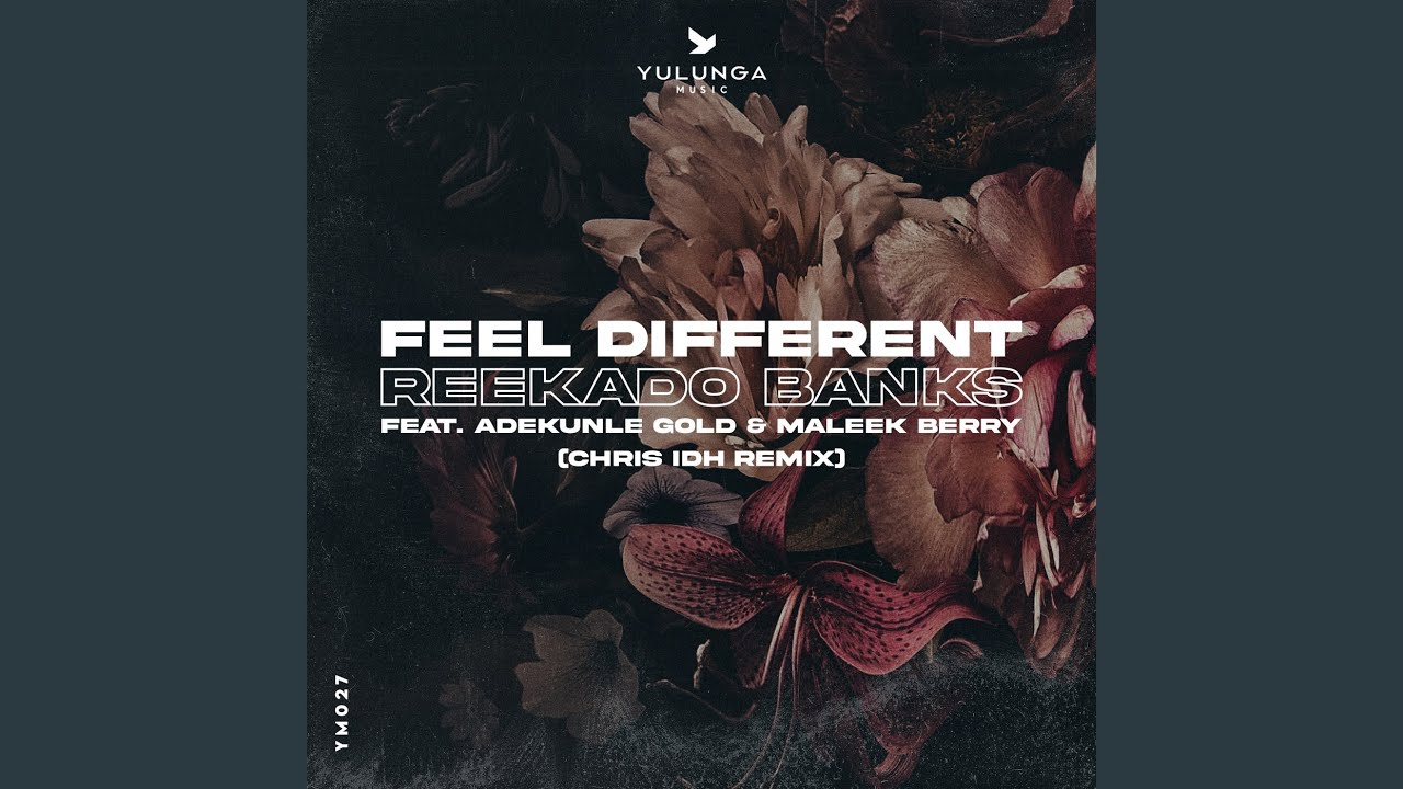 Feel Different feat. Adekunle Gold, Maleek Berry (Chris IDH Remix)