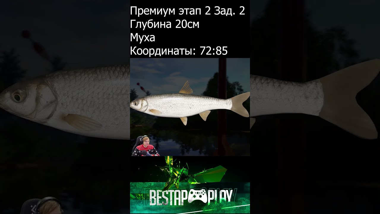 Новогодние ЭКСТРА задания: Этап 2 #russianfishing4 #новогодниезадания