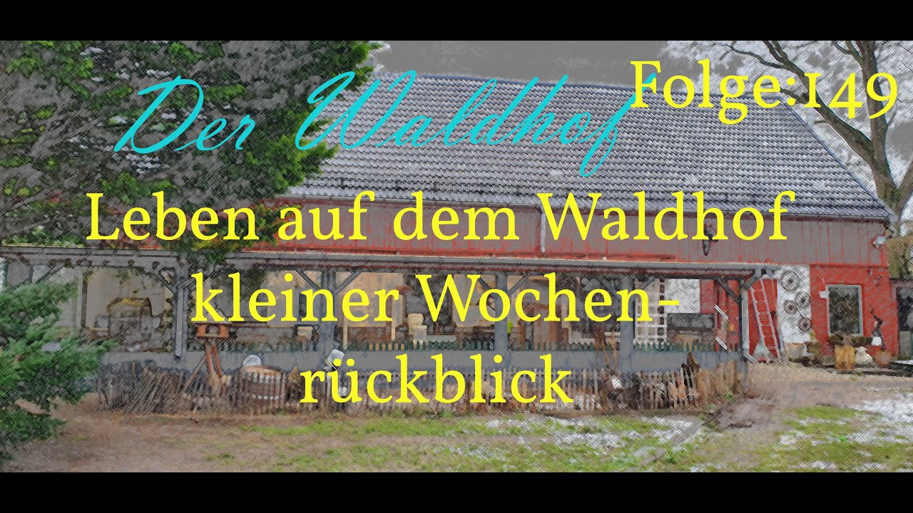 DerWaldhof Kleiner Wochenrückblick