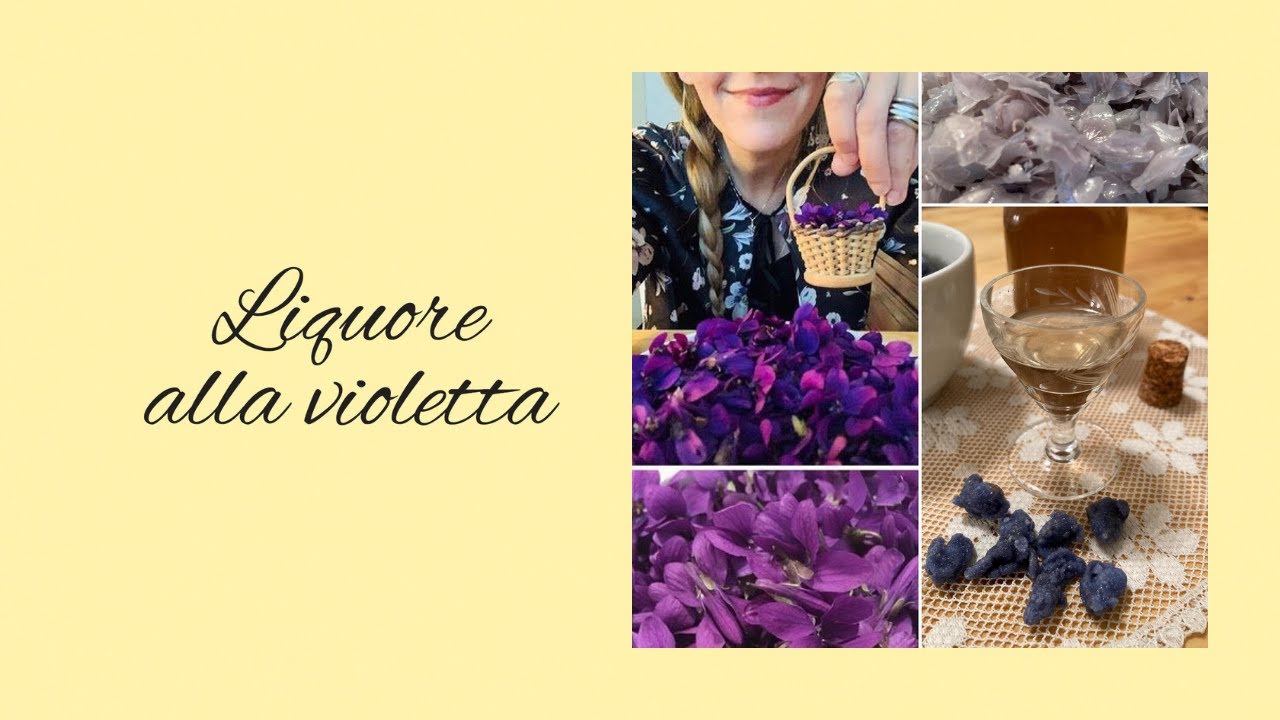 Liquore alla violetta