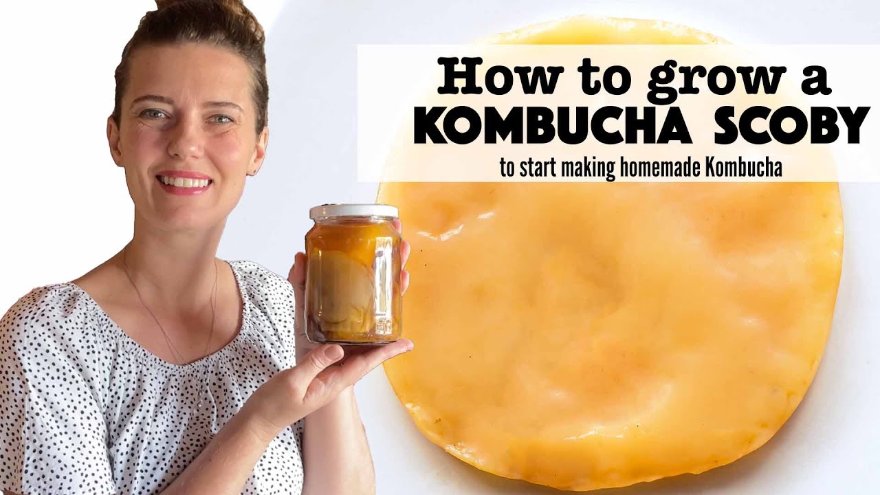 How to Grow your own Kombucha Scoby (Part 1 Kombucha Series)
