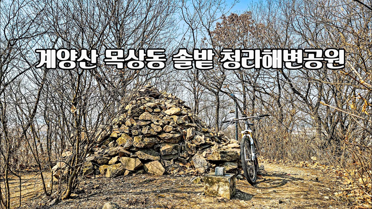 계양산 목상동 솔밭 #매화동산 #청라해변공원 라이딩