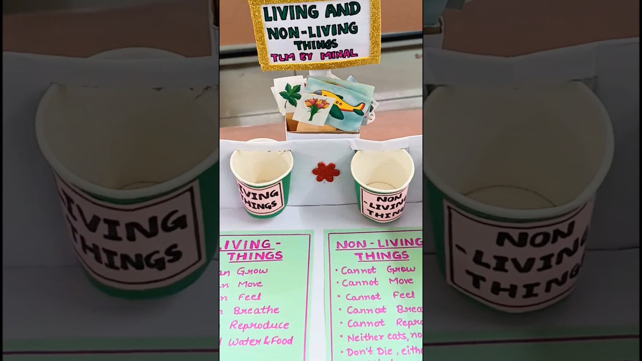 Living And Non-living Things TLM #diy #deledteaching #art #creativeteacher #teachingaid #teacher