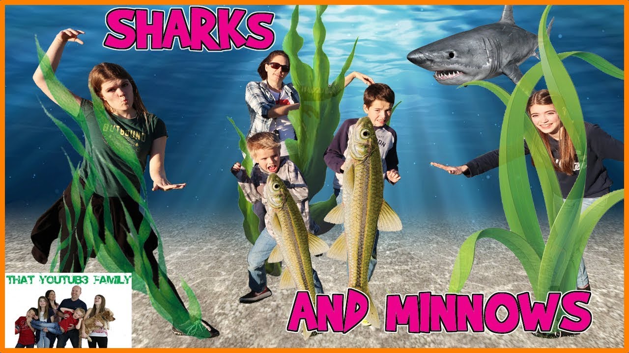 SHARKS and MINNOWS / That YouTub3 Family