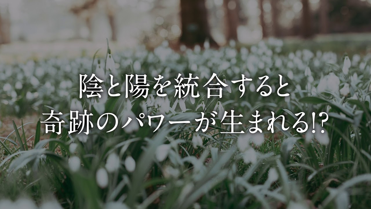 【集合無意識】陰と陽を統合すると奇跡のパワーが生まれる！？