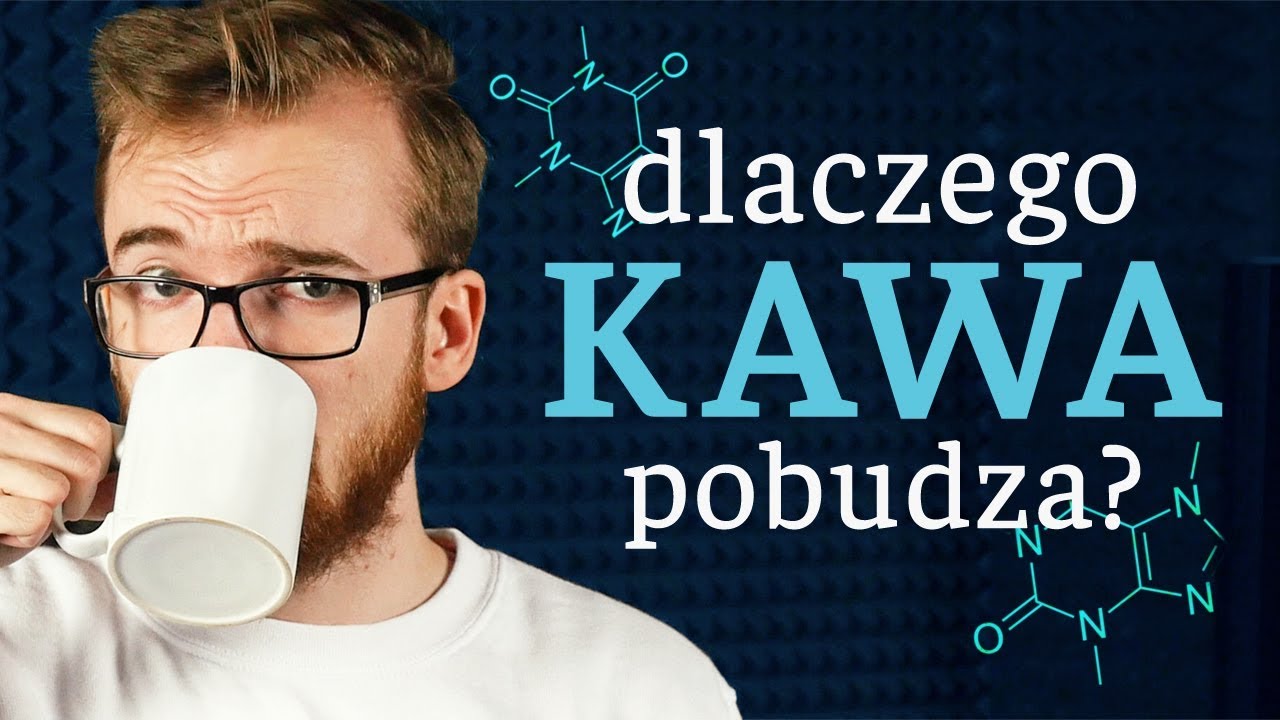 Dlaczego kawa nas POBUDZA?