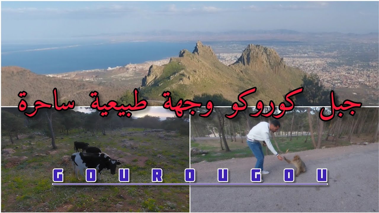 إطلالة خفيفة على جبل كوروكو بإقليم الناظور (قبيلة إقرعيين) الريف الشرقي