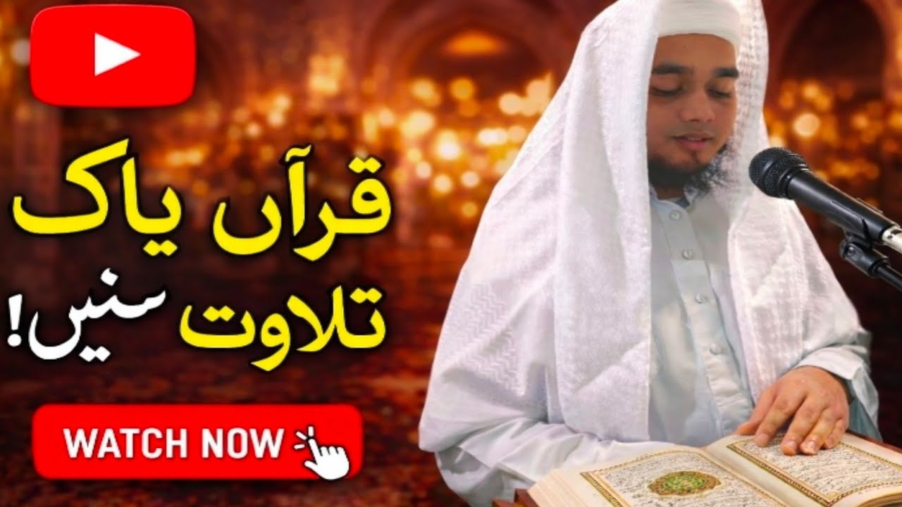 👉👉👉👉The Path of the Muttaqeen | A Powerful Reminder from the Quran