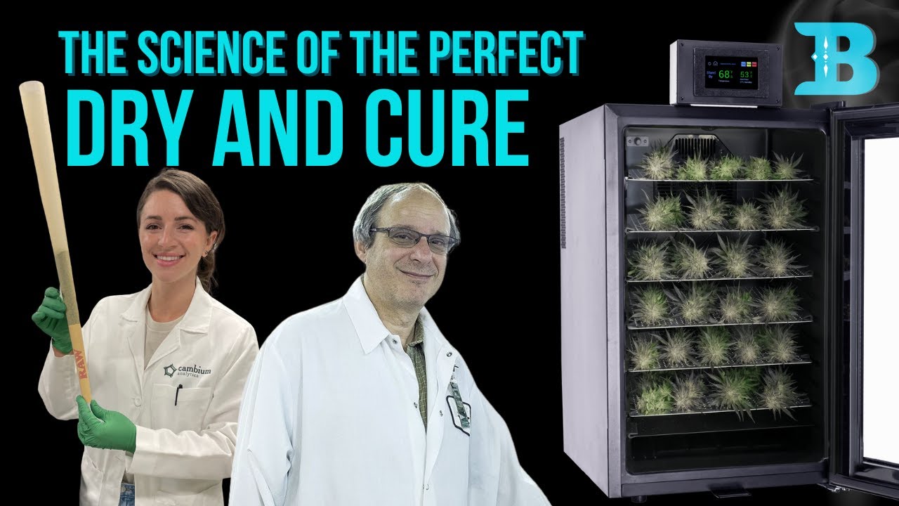 The Science of the Dry and Cure: Is the 60/60 method best?