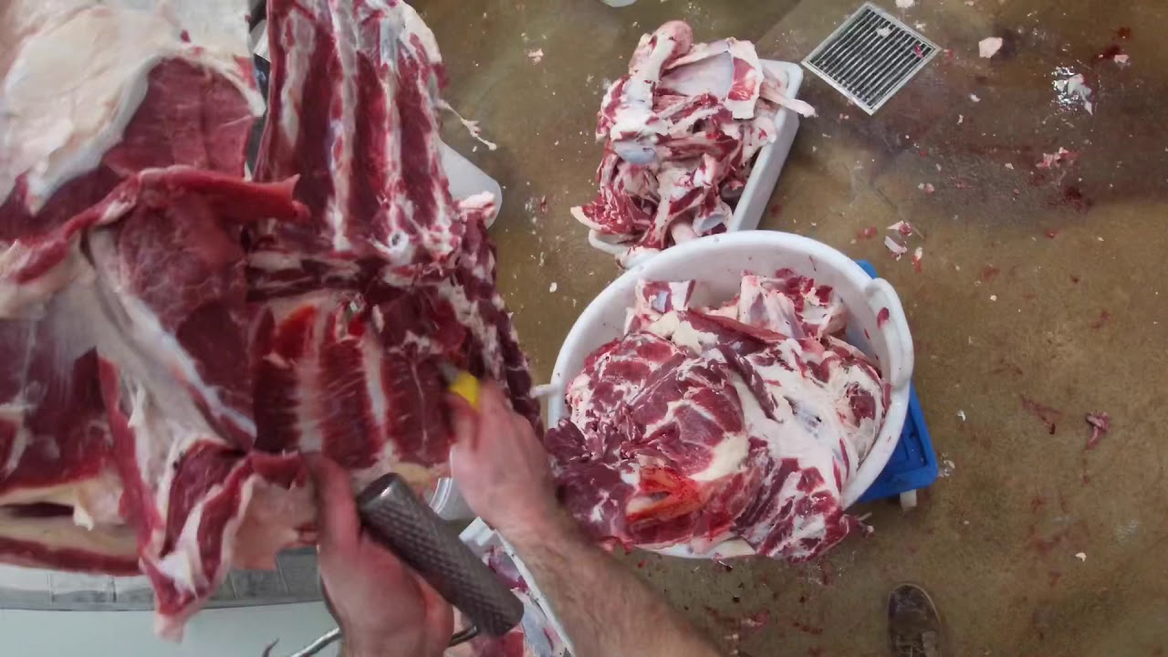 Breaking a Forequarter of Beef