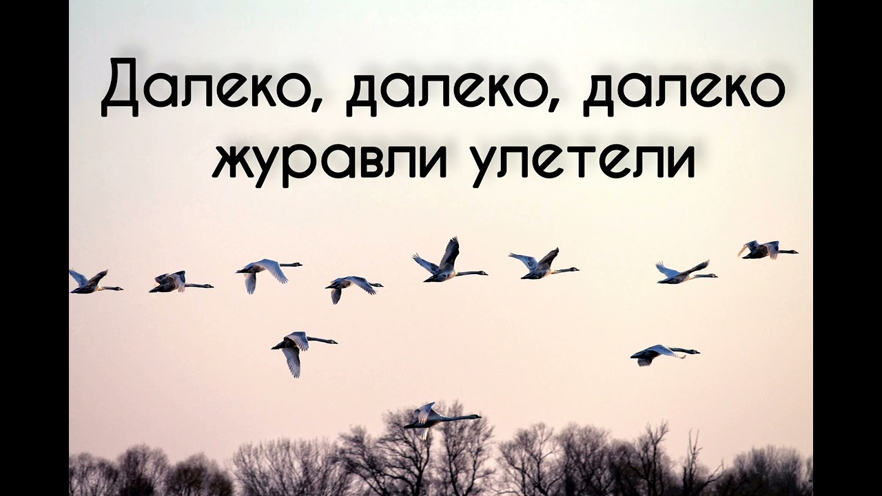 Далеко далеко далеко журавли улетели Христианская песня