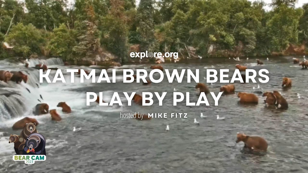 Play by Play 8.10.23 | Brooks Live Chat