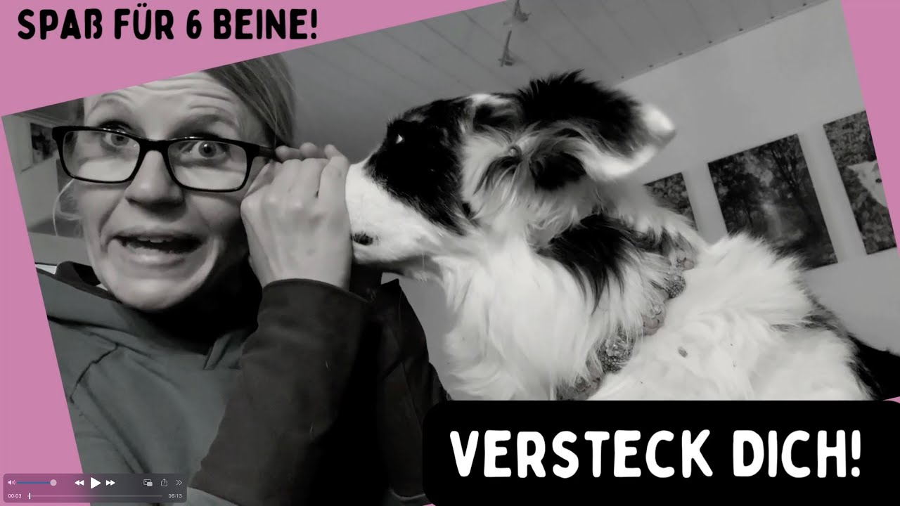 Hundetrick: Versteck Dich