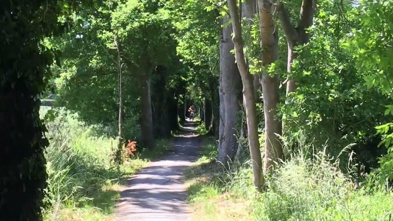 Tandemtour von Nordhorn in die Niedergrafschaft