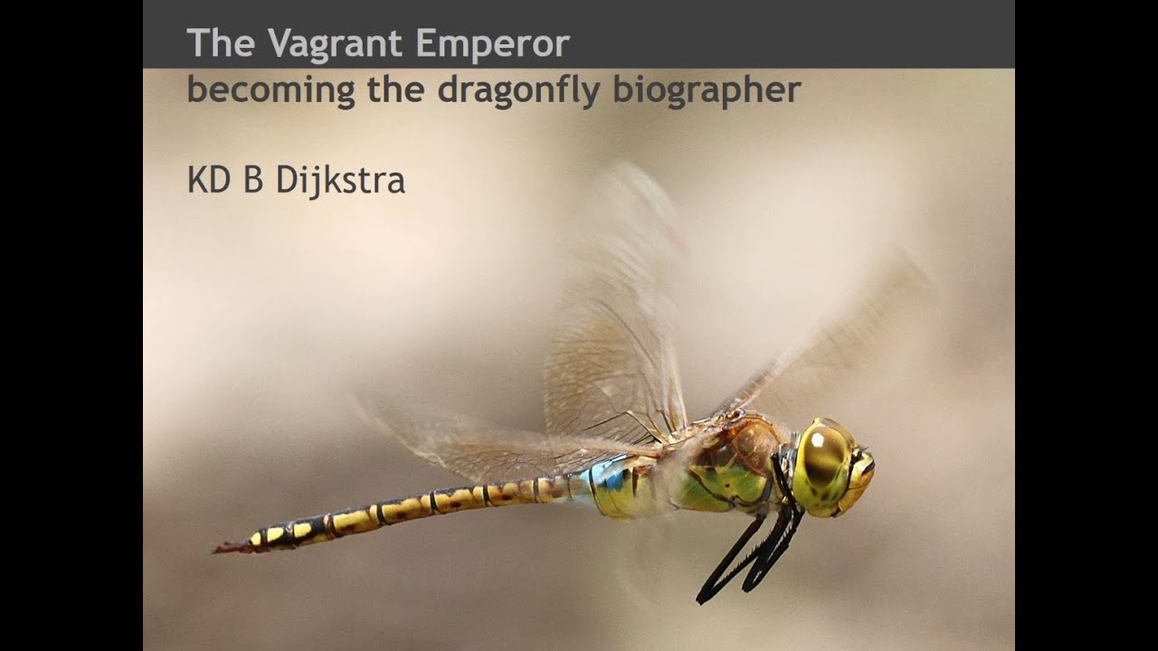 KD Dijkstra – The Vagrant Emperor: 25 Years on the Dragonfly Trail.