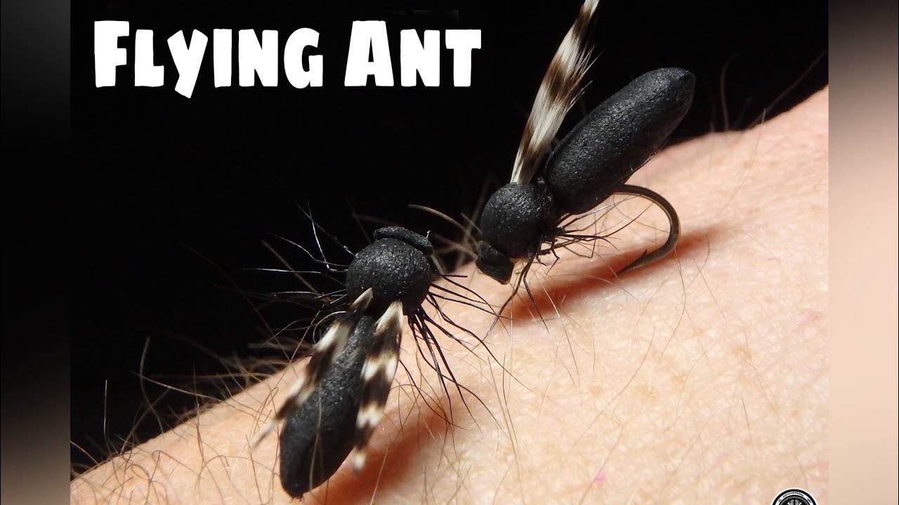 fly tying FOAM FLYING ANT HORMIGA DE ALA por Jorge G