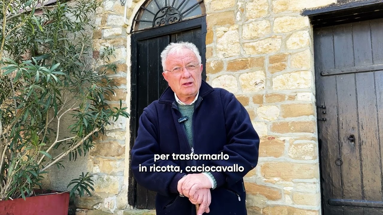 AZIENDA AGRICOLA F LLI MUSACCHIA CINISARA